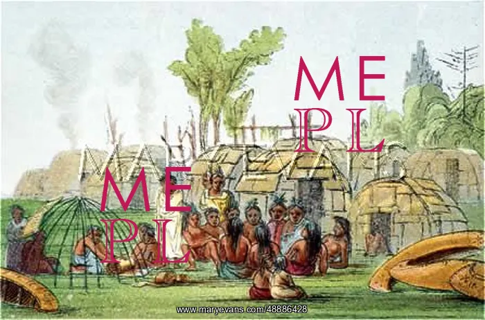: RACIAL / CAMP / CHIPPEWAY : RACIAL / CAMP / CHIPPEWAY