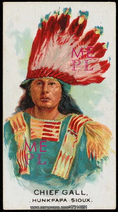 : RACIAL / CHIEF GALL / SIOUX : RACIAL / CHIEF GALL / SIOUX