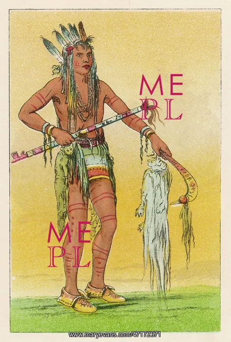  : RACIAL / CHIPPEWA C1830
