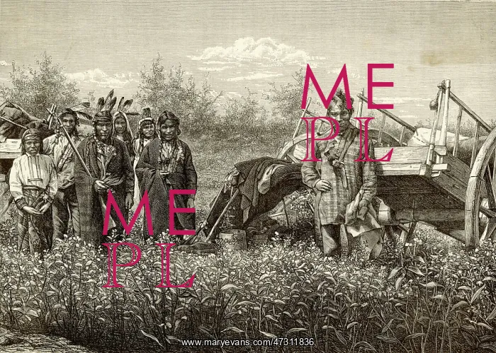 : RACIAL / CHIPPEWA C1870 : RACIAL / CHIPPEWA C1870