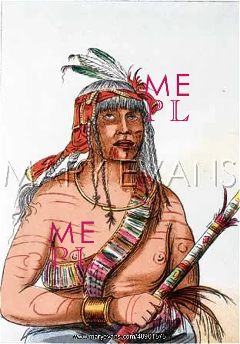  : RACIAL / CHIPPEWA WARRIOR