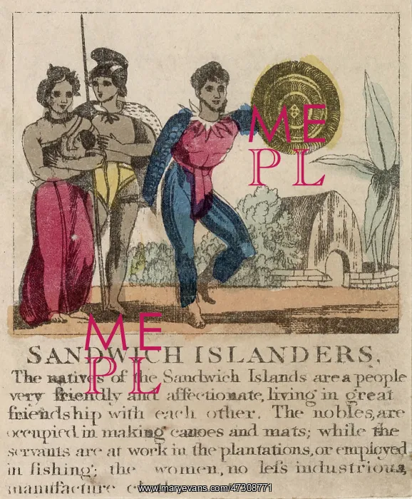  : RACIAL / HAWAII C1830