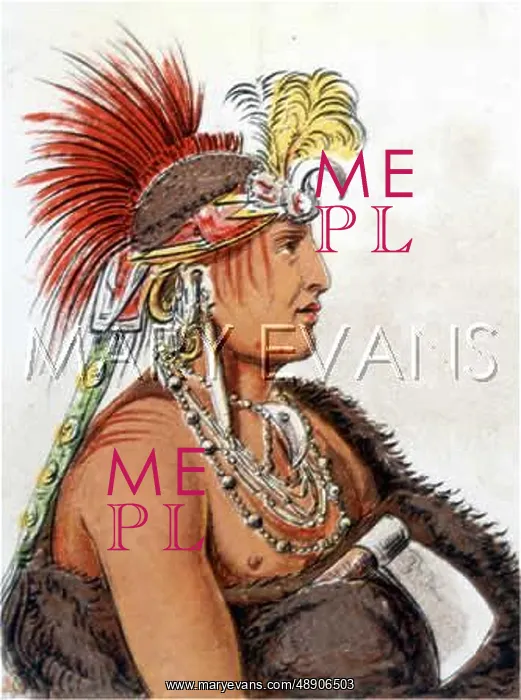 : RACIAL / KANSA MAN C1830