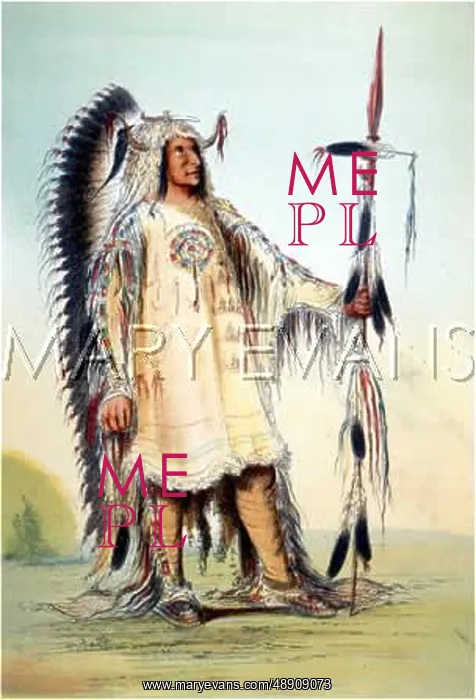  : RACIAL / MANDAN CHIEF