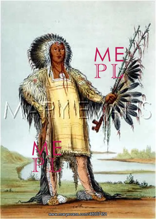 : RACIAL / MANDAN WOLF CHIEF : RACIAL / MANDAN WOLF CHIEF