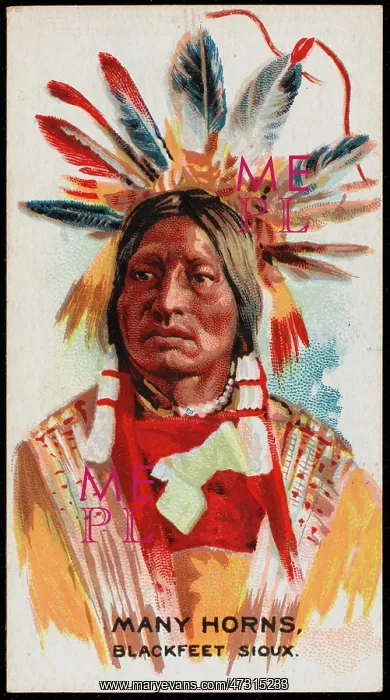  : RACIAL / MANY HORNS / SIOUX