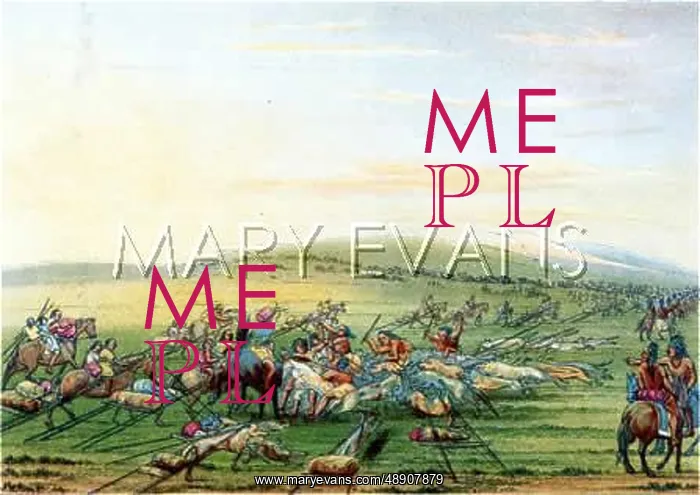  : RACIAL / MOVING CAMP C1830