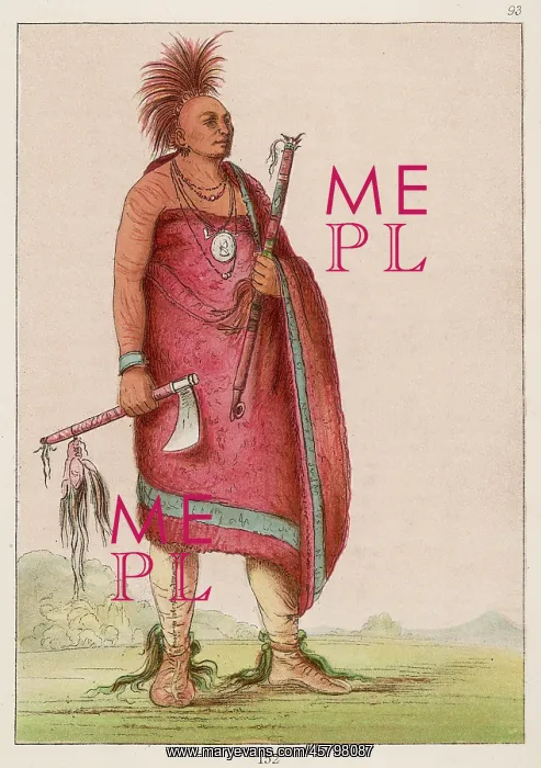  : RACIAL / OSAGE CHIEF C1830