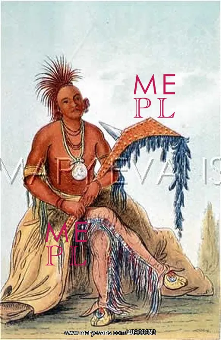  : RACIAL / OSAGE CHIEF C1830