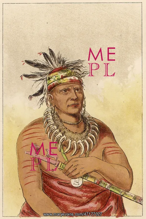 : Racial - Pawnee Chief : Racial - Pawnee Chief