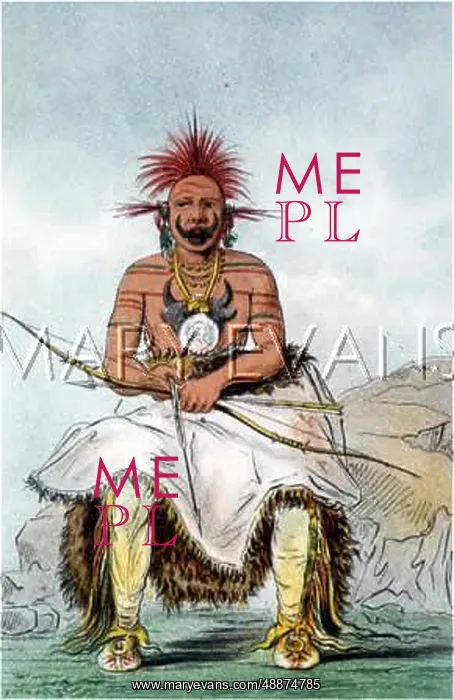 : RACIAL / PAWNEE CHIEF : RACIAL / PAWNEE CHIEF