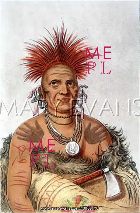 : RACIAL / PAWNEE CHIEF : RACIAL / PAWNEE CHIEF