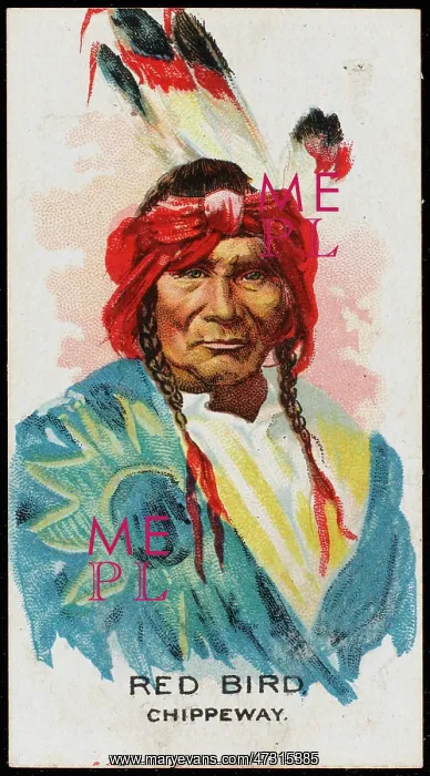 : RACIAL / RED BIRD / CHIPPEWA : RACIAL / RED BIRD / CHIPPEWA
