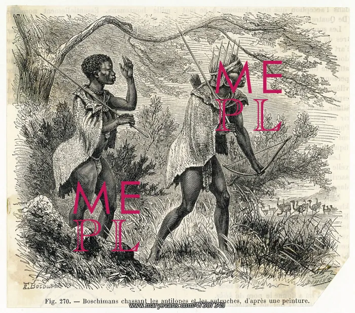 : RACIAL / S AFRICA / BUSHMEN : RACIAL / S AFRICA / BUSHMEN