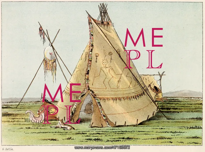 : RACIAL / TEEPEE C1830 : RACIAL / TEEPEE C1830