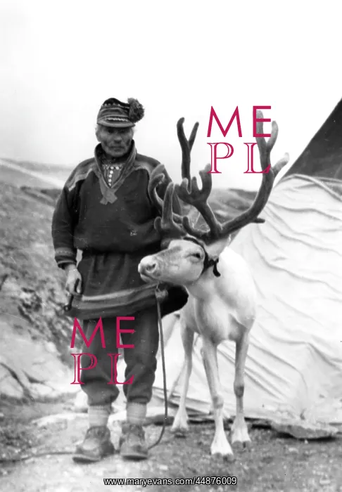 : RACIAL TYPES / LAPLAND : RACIAL TYPES / LAPLAND