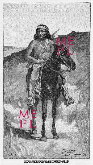  : RACIAL / ZUNI CHIEF 1882