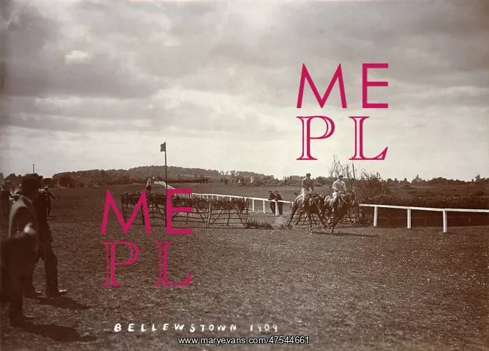  : Racing at Bellewstown
