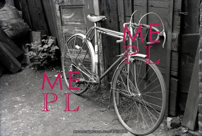 : A Racing Bicyle leaned up against the fence in a back yard : A Racing Bicyle leaned up against the fence in a back yard