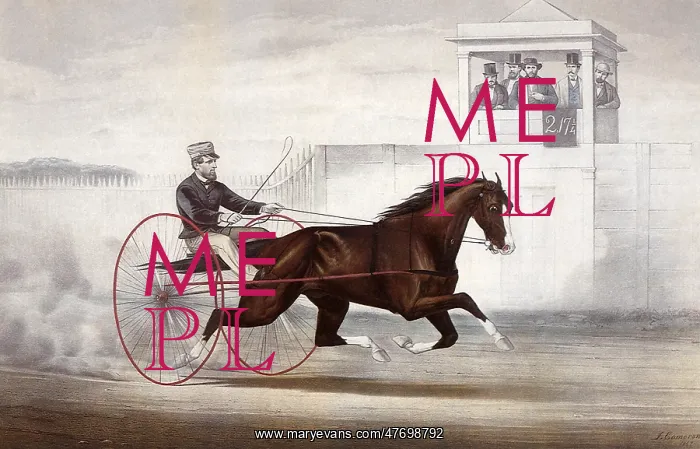 : Racing Horse and Driver : Racing Horse and Driver