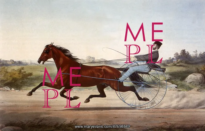  : Racing Horse and Driver