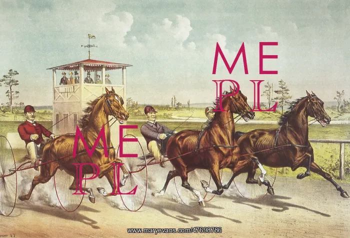  : Racing Horse and Drivers