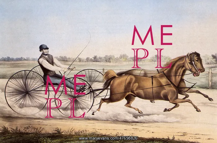  : Racing Horses and Buggy