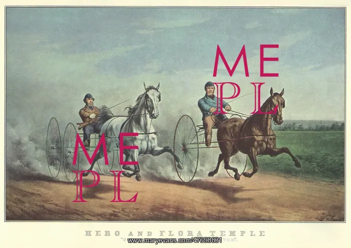  : Racing Horses and Drivers