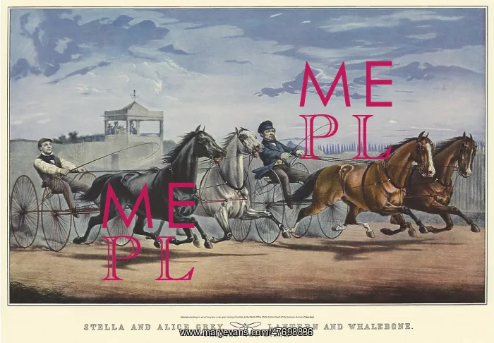  : Racing Horses and Drivers