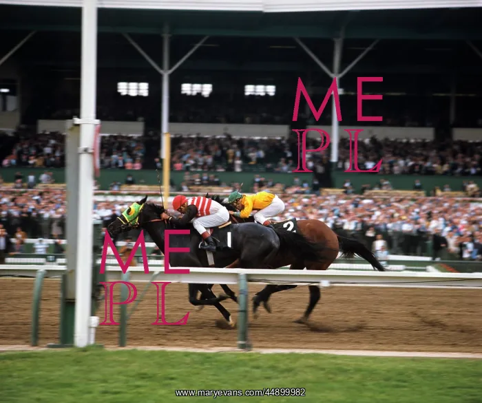  : Two Racing Horses Neck And Neck