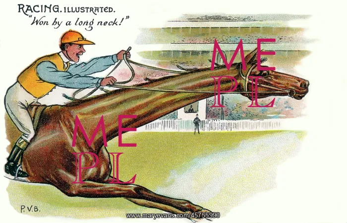 : Racing Illustrated - Won by a long neck! : Racing Illustrated - Won by a long neck!