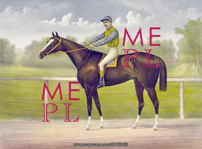 : The racing King Salvator, mile record, 1:35 1 / 2: by Prince C : The racing King Salvator, mile record, 1:35 1 / 2: by Prince C