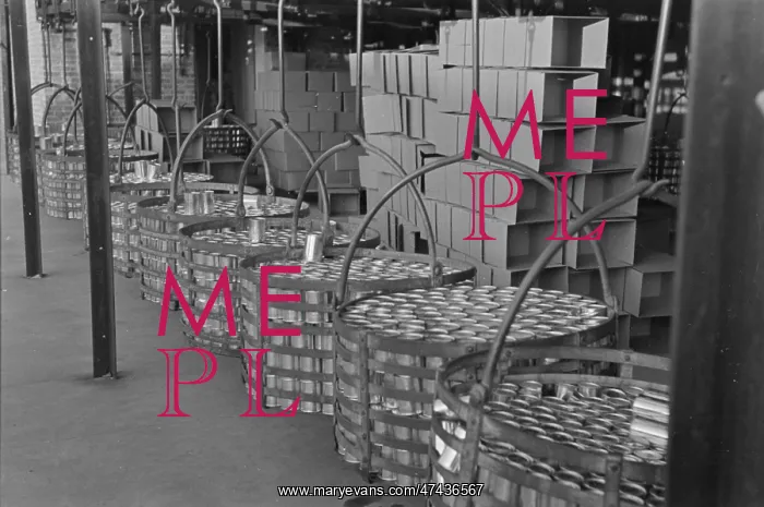 : Racks full of canned peas on way to labeling room and wareho : Racks full of canned peas on way to labeling room and wareho