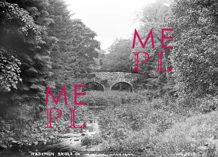 : Rademon Bridge on the Quoile, Crossgar : Rademon Bridge on the Quoile, Crossgar