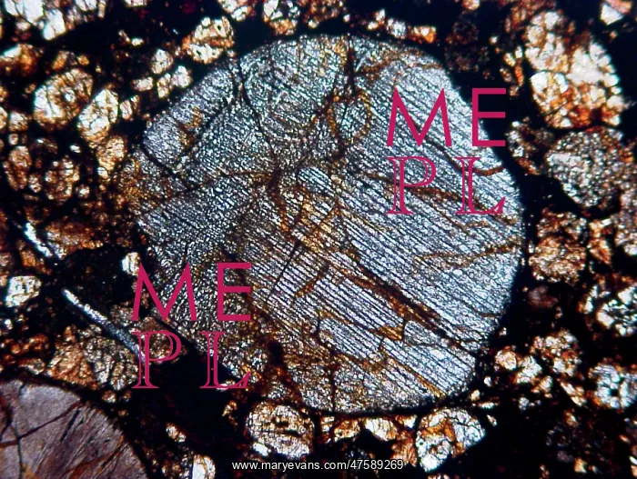 : Radial pyroxene chondrule : Radial pyroxene chondrule
