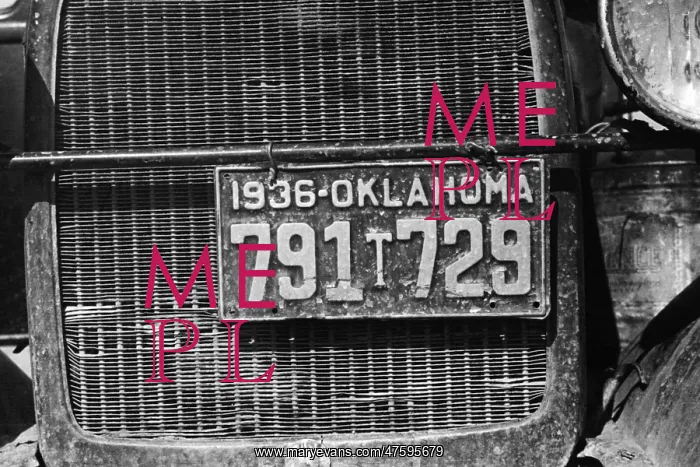 : Radiator and License Plate : Radiator and License Plate