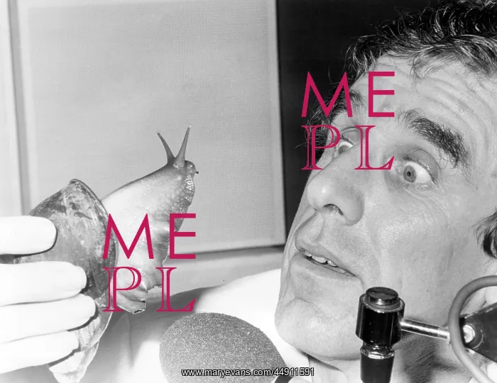 : Radio presenter with giant snail : Radio presenter with giant snail