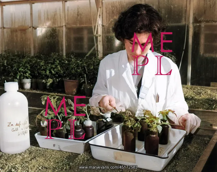 : RADIOACTIVITY / PLANTS 60S : RADIOACTIVITY / PLANTS 60S