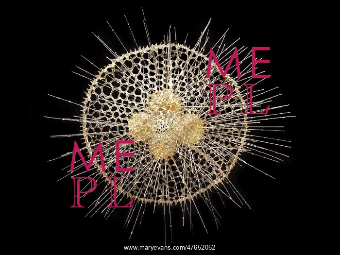 : Radiolarian : Radiolarian