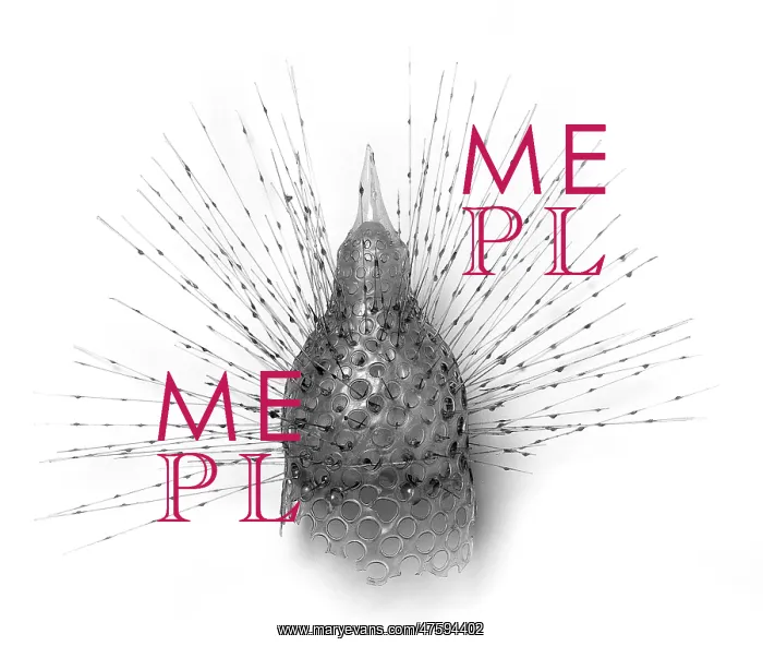 : Radiolarian model : Radiolarian model