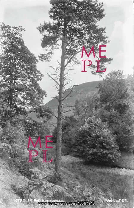  : In Radnor Forest