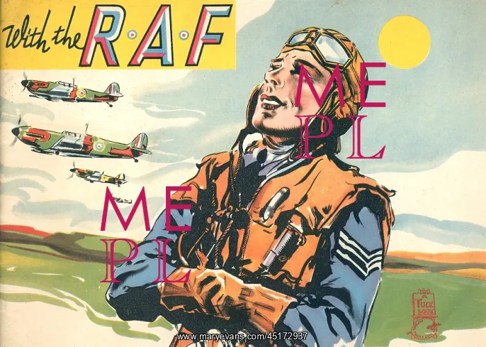 : With The R.A.F : With The R.A.F