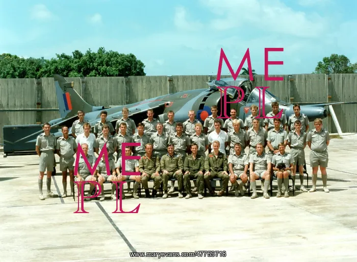 : RAF Belize - No.1417 Flight RAF July 1990 formal : RAF Belize - No.1417 Flight RAF July 1990 formal