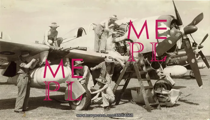 : An RAF ground crew service a Republic P-47 Thunderbolt : An RAF ground crew service a Republic P-47 Thunderbolt