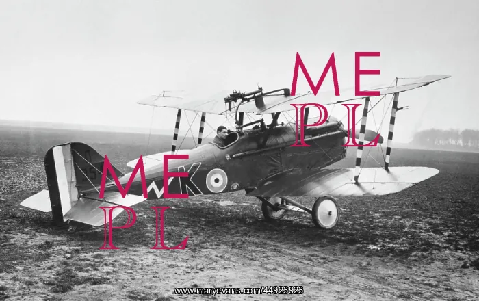 : RAF SE-5a. Royal Flying Corps Rfc Royal-Aircraft-Factory RAF Se-5A : RAF SE-5a. Royal Flying Corps Rfc Royal-Aircraft-Factory RAF Se-5A