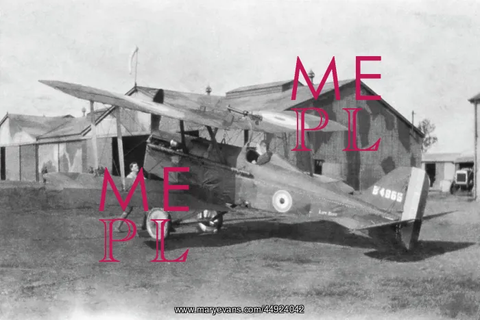 : RAF SE-5a. Royal Flying Corps Rfc Royal-Aircraft-Factory RAF Se-5A : RAF SE-5a. Royal Flying Corps Rfc Royal-Aircraft-Factory RAF Se-5A
