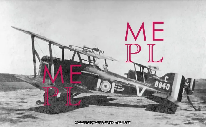 : RAF SE-5a. Royal Flying Corps Rfc Royal-Aircraft-Factory RAF Se-5A : RAF SE-5a. Royal Flying Corps Rfc Royal-Aircraft-Factory RAF Se-5A
