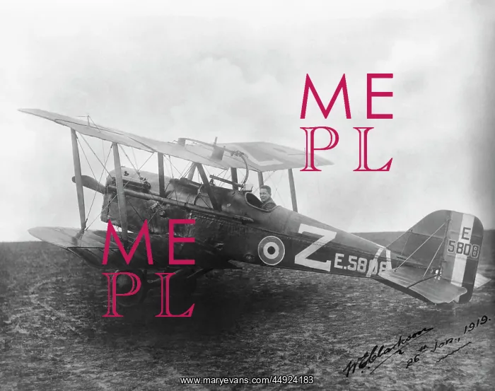 : RAF SE-5a. Royal Flying Corps Rfc Royal-Aircraft-Factory RAF Se-5A : RAF SE-5a. Royal Flying Corps Rfc Royal-Aircraft-Factory RAF Se-5A