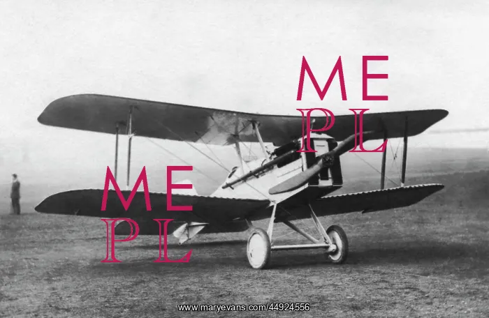: RAF SE-5a. A Civilian Royal-Aircraft-Factory RAF Se-5A Parked : RAF SE-5a. A Civilian Royal-Aircraft-Factory RAF Se-5A Parked