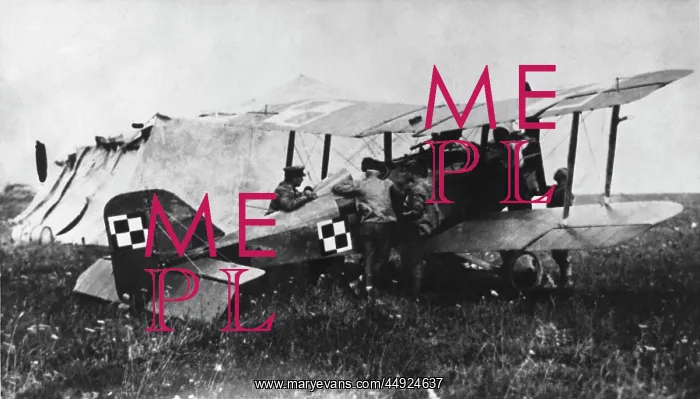 : RAF SE-5a. Polish Airforce Royal-Aircraft-Factory RAF Se-5A Parked : RAF SE-5a. Polish Airforce Royal-Aircraft-Factory RAF Se-5A Parked